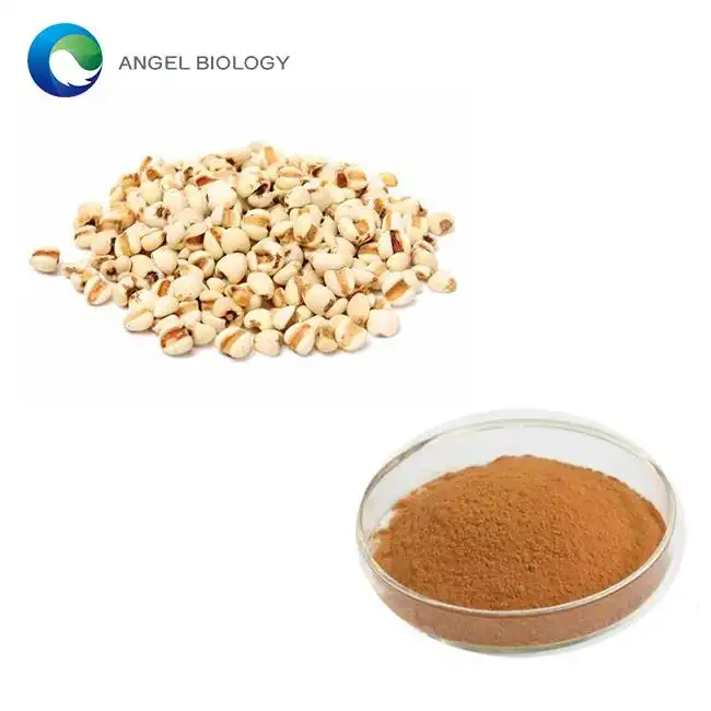 Japan’s Food-Tech R&D Boosts Demand for Coix Seed Extract Powder